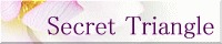 Secret Triangle